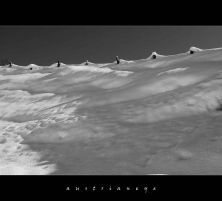 winter in bw.jpg